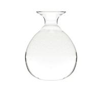 Glass Avocado Tree Flower Vase,Avocado Seed Starter Vase Pot,Avocado Plant Hydroponic Vase,Avocado Grow Terrariums