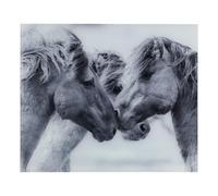 Glass Back Wall Horse Motif 60 X 50 Cm Gray Splash Guard Stove Sink Wall Panel