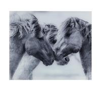 Glass Back Wall Horse Motif 60 X 50 Cm Gray Splash Guard Stove Sink Wall Panel