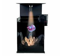 Glass Betta Aquarium Starter Kit, A Constant Temperature Transparent Aquarium With Magnetic Spotlights, Landscaping Rocks and Power Filter, Suitable for Home and Office