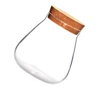 Glass Bottle Micro Landscape Terrarium with Cork Lid
