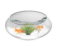 Glass Bowl Vase | Low Pot | Wide Round Bottom Fish Tray for Home Decoration and Presentation