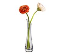 Glass Bud Vase Oblique Mouth Single Stem Flower Vase for Home Office Wedding Table Decor Centerpiece 23cm