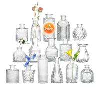 Glass Bud Vase Set 16 Small Glass Vases with Elegant Design Mini Clear Flower Vase for Floral Arrangements Wedding Centerpiece Home and Parties Table Decorations