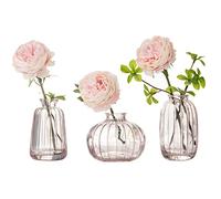 Glass Bud Vase Set of 3, Decorative Small Vase for Table Living Room Bedroom Home Office Kitchen Decor, Pink