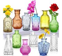 Glass Bud Vases Set of 12,Small Vase for Flowers,Coloured Single Bud Vases in Bulk,Mini Decor Rustic Vase for Centerpieces,Vintage Glass Bottles for Wedding, Home,Table Gift Set