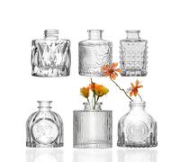 Glass Bud Vases Set of 6, Cute Glass Bud Vases Small for Flowers