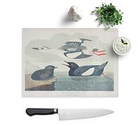 Glass Chopping Board - Black Guillemot Bird by John James Audubon - Textured Worktop Saver Cutting Board - Heat Resistant, Shatterproof and Hygenic - 39 x 28.5 cm