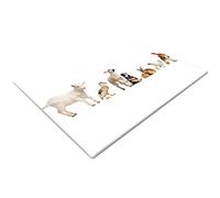 Glass Chopping Board | Kitchen Worktop Protector | Multifunctional Cutting Board | Work Top Savers | Kitchen Accessories | Extra Large | White Baby Farm Animal Duck