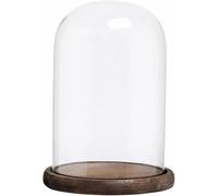 Glass Cloche Bell Jar with Wooden Base, 6 inch Diameter x 10 inch Height, Display Dome Cover for Plants and Decor (Old Wood Color Base)