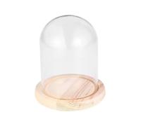 Glass Cloche Dome Display Case with Wooden Base for Home Decor, Centerpiece Showcase, Decorative Glass Cover for Plants, Art, and Collectibles