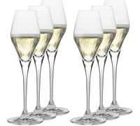 Glass & Co In Vino Veritas Prosecco Wine Glass - Set of 6