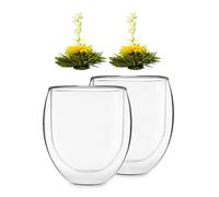 Glass Cup Double Wall Tea Blossom Glass Coffee 2 x Hot Cold Drink Tumbler 320 ml
