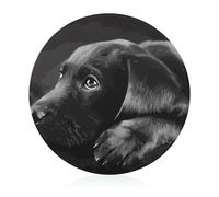 Glass Cutting Board 8"X8" Black Labrador Puppy Chopping Board with Non-slip Feets Round Cutting Boards for Kitchen Heat Resistant Small Chopping Boards for Fruit Cheese Vegetable Bread