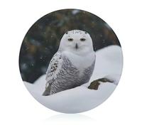 Glass Cutting Board 8"X8" Snow Owl Chopping Board with Non-slip Feets Round Cutting Boards for Kitchen Heat Resistant Small Chopping Boards for Fruit Cheese Vegetable Bread
