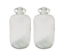 Glass Demijohn 5 Litre Carboy 5L (5000ml) Demi-John 1 Gallon - fermenter Vessel for Cider Wine Storage - DIAH (2 x Glass Demijohn)
