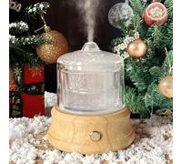 Glass Diffuser 81ML