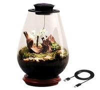 Glass Ecosystem Terrarium with Moss, Saucer-shaped LED Grow Light, 5V/2A Black Light for Office and Home Décor, Small Desk Ecosystem, Includes Drip Bottle and Type-C Cable