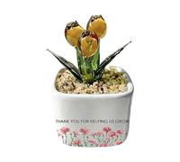 Glass Everlasting Tulips Pot for Mom,Personalized Glass Everlasting Tulips Planter,Floral Crystal Potted Gift for Daughters on Birthday, Mothers Day,Flowers Plant Decor