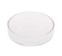 Glass Feeder Dish 3.9 3.5 3.2 2.6 2.4 Inch Wide Round Food Bowl for Corduran Bottom Live Fish