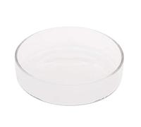 Glass Feeder Dish 3.9 3.5 3.2 2.6 2.4 Inch Wide Round Food Bowl for Corduran Bottom Live Fish