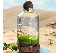 Glass Fish Tank - Self-Circulating Ecological Plant Terrarium with Wooden Base - Desktop Ornament for Home and Office (B)