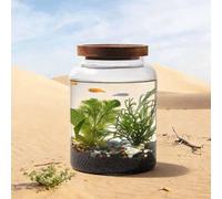 Glass Fish Tank Set, Mini Aquarium with Ecological Landscape, Hydroponic Bottle for Aquatic Plants, Ideal for Betta Fish, Goldfish, Small Fish or Shrimp