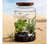 Glass Fish Tank Set, Mini Aquarium with Ecological Landscape, Hydroponic Bottle for Aquatic Plants, Ideal for Betta Fish, Goldfish, Small Fish or Shrimp