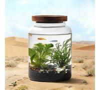 Glass Fish Tank Set, Miniature Aquarium for Aquatic Plants and Fish, Hydroponic Bottle for Betta, Goldfish, Small Fish or Shrimp