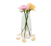 Glass Flower Vase, Ins Modern Clear Glass Vase, 22 cm High Glass Vase for Table Decoration, Decorative Vases for Pampas Grass, Tulips, Orchids, Roses, Dried Flowers (Heptachrome)