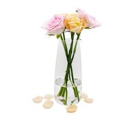 Glass Flower Vase, Ins Modern Clear Vase, 22 cm High for Table Decoration, Decorative Vases for Pampas Grass, Tulips, Orchids, Roses, Dried Flowers (Transparent)