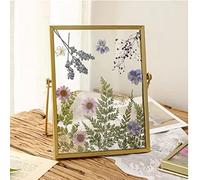 Glass Frames For Pressed Flowers, Iron and Glass Transparent Tabletop Dried Flower Frame Glass Photo Frame Pressed Flower Frame Desktop Decorations for Home (6 Inch)