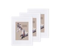 Glass Front Picture Frame