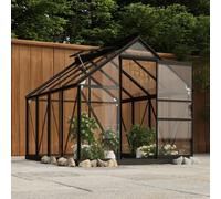 Glass Greenhouse Anthracite 155x200.5x191 cm Aluminium