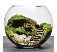 Glass Handmade Large fish bowl 10 litres round Vase Terrarium 30 x 18 cm Clear Transparent Planter