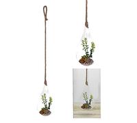 Glass Hanging Planter Plant with Artificial Succulent Plants in Terrarium Glass Plant Pot Hanger Flower Vase for Home Decoration Indoor Outdoor Houseplant, Teardrop (Large Stem)
