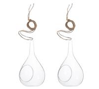 Glass Hanging Vases Set of 2 for Hydroponic Plant Decoration | Wall Mounted Design, Micro Landscape Bottle Style, Suitable for House Decor, Glass, Two Pieces