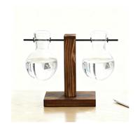 Glass Hydroponic Planter Set Modern Hanging Vase For Home, Office, Terrariums, And Fresh/Artificial Plant Decor