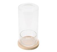 Glass Hydroponic Terrarium Bottle Plant Glass Bottle Pots Bringing Nature To Workspaces For Office Or Home Use Decors Office Desk Plant Terrarium