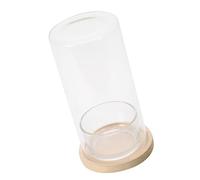 Glass Hydroponic Terrarium Bottle Plant Glass Bottle Pots Bringing Nature To Workspaces For Office Or Home Use Decors