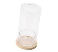 Glass Hydroponic Terrarium Bottle Plant Glass Bottle Pots Bringing Nature To Workspaces For Office Or Home Use Decors