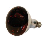 Glass infrared lamp Kerbl