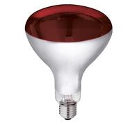 Glass infrared lamp Kerbl