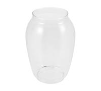 Glass Lantern Globe Replacement for Kerosene Oil Lamps Halloween Season