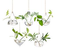 Glass Large Hanging Planters Water Air Plant Succulent Containers Terrarium Kits Candle Holder Indoor Outdoor 2 Holes 5Pcs/Set with Strings Rope for Home Garden Balcony