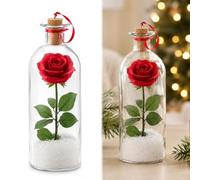 Glass Message Bottle Ornament, Recordable Christmas Keepsake | Voice-recording glass bottle for Christmas tree. Record a personal message-endless playback. A sentimental gift