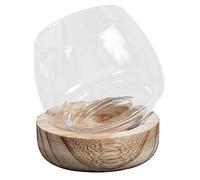 Glass Micro Landscape Bottle Small Fish Bowl for Succulents Hydroponics DIY Decor Premium Transparent Glass Vase for Home Office Cafe for Any Room