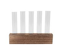 Glass Plant Propagation, Station With Wooden Stand Tubes Desktop Terrarium With Test Tube Home Decor and for 6 (5 Tubes)