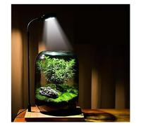 Glass Plant Terrarium with LED Grow Light for Indoor Plants, Office Decor, and Plant Lovers