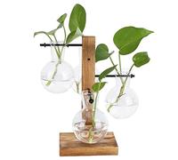 Glass Planter Bulb Vase, Innovative Hydroponic Vase Desktop Plant Terrarium Kit with Wooden Stand Transparent Desktop Flower Vase for Home